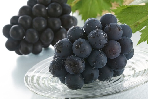 かつらぎ町産 ピオーネ 2房(約1.25kg)[2026年8月中旬〜2026年9月末ごろ順次発送][AQ-ikd732]