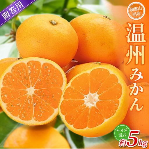 みかん【贈答用】 森本農園 約5kg 【2026年10月中旬～2027年2月中旬ごろに順次発送】【BV-mrmt092】