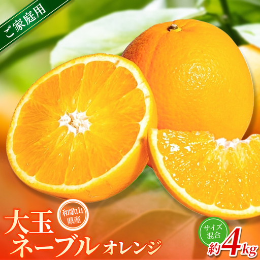 みかん[訳あり・ご家庭用] 森本農園 大玉ネーブルオレンジ 約4kg [2027年1月上旬〜2月中旬頃に順次発送][BV-mrmt094]
