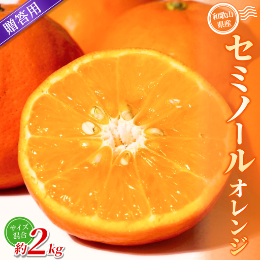 みかん [贈答用] セミノールオレンジ 約2kg [2026年4月中旬〜5月下旬頃に順次発送][BV-mrmt099]