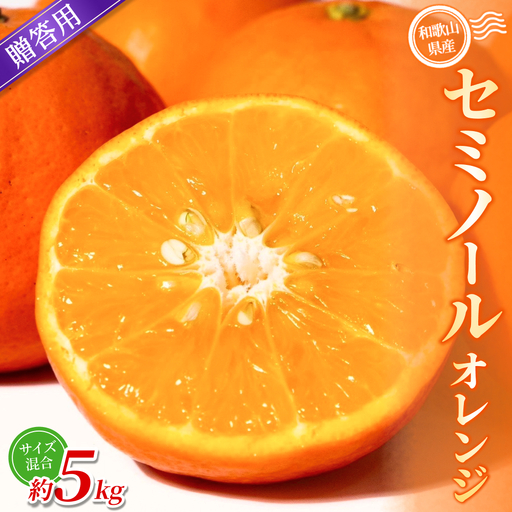 みかん【贈答用】 セミノールオレンジ 約5kg 【2026年4月中旬～5月下旬頃に順次発送】【BV-mrmt100】