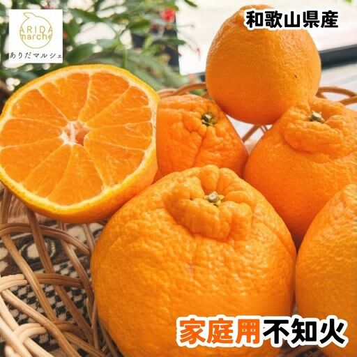 【訳あり・ご家庭用】有田育ちの濃厚 不知火  約1kg+200g(傷み補償分)【2027年1月上旬～3月上旬に順次発送】【AA-ard208】