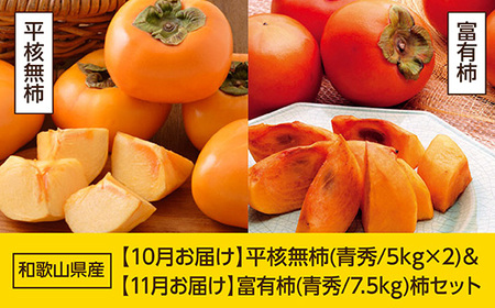 柿　ヒラタネ　20キロ　ご家庭用