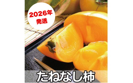 ` ̂ꂽă^lȂ`g3LhTCY7.5kgy2026N10{`10{\zyART19zyG018-art021Az