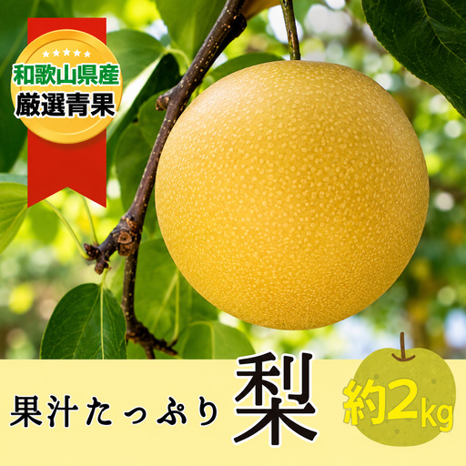 果汁滴る絶品の梨(約２Kg）【2026年8月中旬～2026年9月上旬頃順次発送】【A188-frks085】