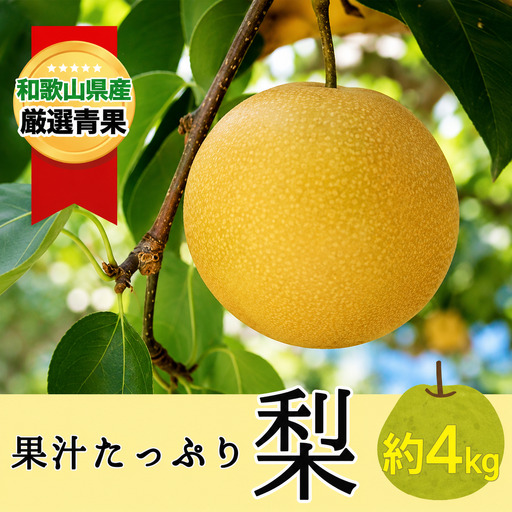 果汁滴る絶品の梨(約４Kg）【2026年8月中旬～2026年9月上旬頃順次発送】【A189-frks086】