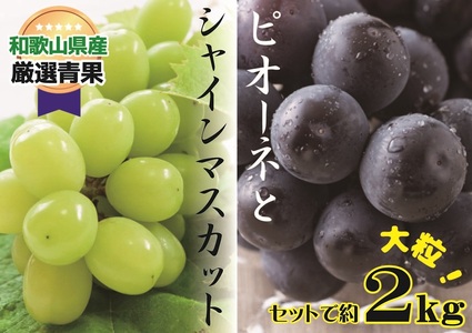 lC Ԃǂ Zbg 2kg VCsI[l y8{`{zyA218-frks114z