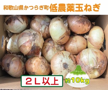 y2026NEs\z_Ƃ񒼑@_ʂ˂2LTCYȏ@10kgy2026N4{`7{\zyA221-frks117z