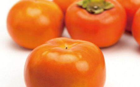 ` ZIxL`@Gi@QL`SkTCY@7.5kgyGO-04zyAA20-ard014Cz