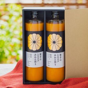 ωR݂W[XuƂRNv 720ml × 2{ Mtg{bNXyӂ邳Ɣ[Łzy30cƓȓɔ\zyJ016-knny014z