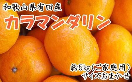 [訳あり・ご家庭用][春みかん]和歌山有田産カラマンダリン約5kg(サイズ混合 ご家庭用)[2026年4月上旬〜2026年5月中旬頃より順次発送][TM141][TM92180-tec937]