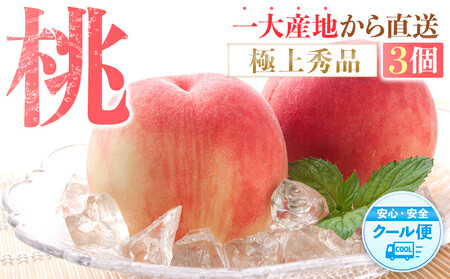 桃 極上秀品 食べきりやすい3個入 [先行予約][2026年6月下旬頃より順次発送]こだわり農家厳選![KG1]