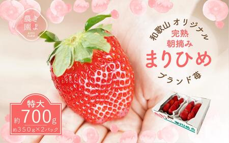 ܂Ђ߃C`S E 6`11×2pbNm2026N1{蔭nms\nmKT3n