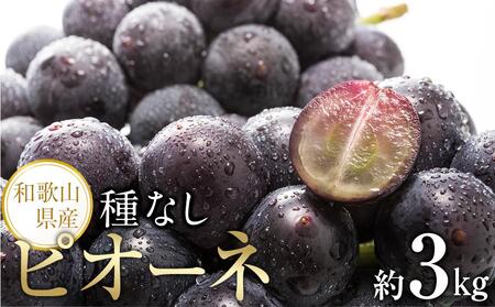 yVNEYza̎R炬Y˂ȂsI[l3kg2025N8{菇yTM127z
