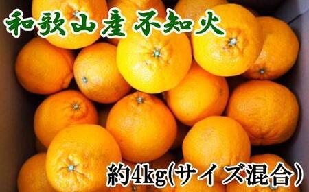 和歌山県産不知火約4kg(サイズ混合)★2026年2月下旬頃より順次発送[TM130]