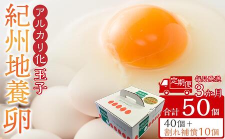 �y����� �S3��z �A���J���� �ʎq �I�B�n�{�� ���v 50�� (40�{����⏞��10�j× 3��@�� ���܂� �ʎq �^�}�S �{�� �܂Ƃߔ��� �I�����c ���������� ���H �Ɩ��p