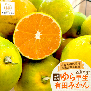 [先行予約]ご家庭用ゆら早生有田みかん約3kg[2025年10月上旬発送][訳あり][MS26]