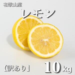 a̎RY  10kg  m󂠂n mUS3n