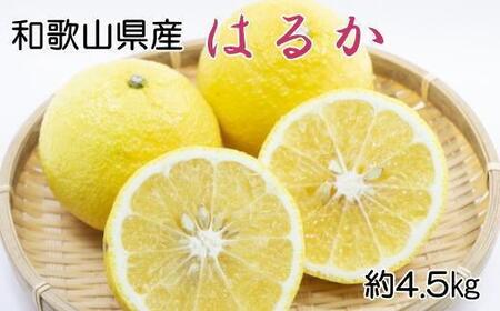 [さわやか柑橘]和歌山県産はるかみかん約4.5kg(サイズ混合 秀品)★2026年2月下旬頃より順次発送[TM162]