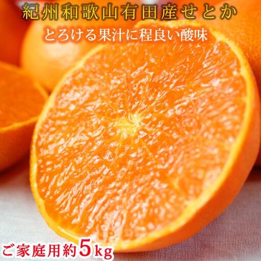 紀州有田産せとか約5kg ［ご家庭用］とろける食感！ジューシー柑橘［2027年2月中旬以降発送］［先行予約］［UT90］