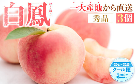 先行販売![モモ] 白鳳 桃の王様!食べきりやすい3個入り[2026年6月下旬頃より順次発送][秀品]こだわり農家厳選 [KG17]