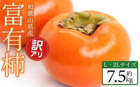 【2025年11月中旬～発送】和歌山県産 訳あり 富有柿 7.5kg L ~ 2L サイズ ご家庭用 柿 選果場 直送