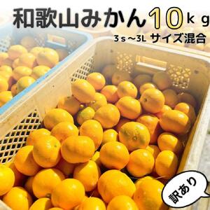 【訳あり】和歌山みかん 約9.5kg+補償分約500g サイズ混合 11月より順次発送 訳ありみかん 【red1】