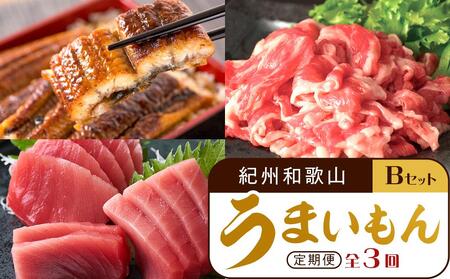 [定期便 全3回]紀州和歌山うまいもんセットB(生まぐろ・うなぎ蒲焼・熊野牛)[UT126]