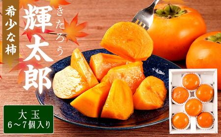 希少な柿［輝太郎］大玉6個～7個 コクのある甘さ！こだわり農家厳選［2026年9月末から10月末頃順次発送］［KG24］