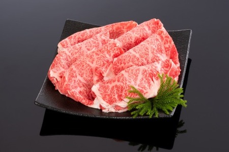 auF싍v I[XXCX 800g 4ȏyMG40z