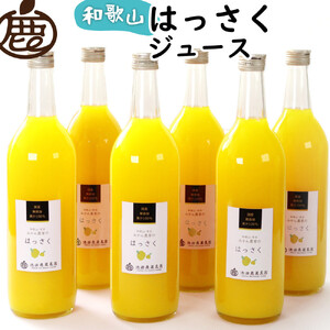 Y͂W[X 720ml×6{mIKE265n