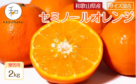 贈答用 森本農園の手選別 厳選セミノールオレンジ 約2kg 和歌山県産 サイズ混合 [北海道・沖縄・離島配送不可][2026年4月中旬から順次発送][RN110]