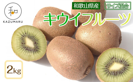 森本農園の キウイフルーツ 約2kg 和歌山県産 サイズ混合 [北海道・沖縄・離島配送不可][2026年2月上旬から順次発送][RN125]