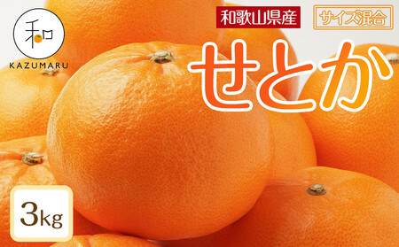 X{_̎I Ƃ 3kg a̎RY TCY mkCEEzsnm2026N2{珇\nmRN130n