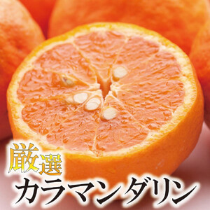 [先行予約]厳選 カラマンダリン1kg+250g(傷み補償分)[南津海・なつみ][希少な春柑橘][みかんと同じように食べられます][IKE65]