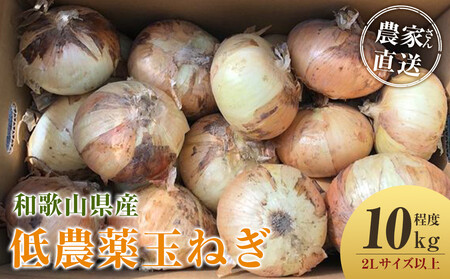 [2026年発送分・先行予約]農家さん直送 低農薬玉ねぎ 2Lサイズ以上 10kg程度[4月中旬〜7月中旬頃発送予定][KF15]