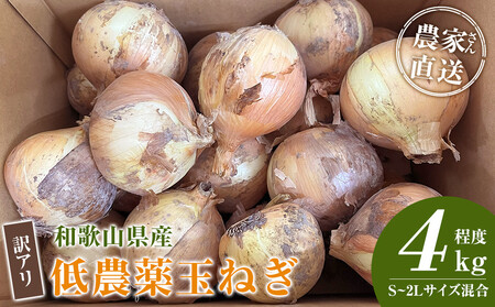 [2026年発送分・先行予約]訳あり 農家さん直送 低農薬玉ねぎ 4kg程度 S〜2L混合[4月中旬〜7月中旬頃発送予定]ご家庭用 ※傷有り[KF19]