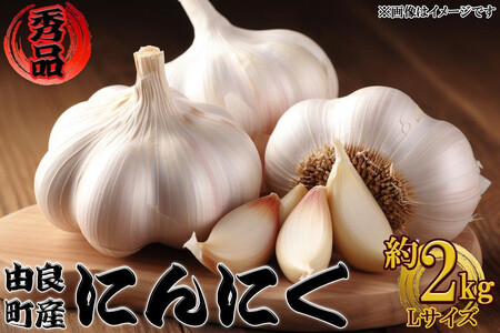 RǒYɂɂ Gi  kTCY  2kg(1kg×2)ySL19z