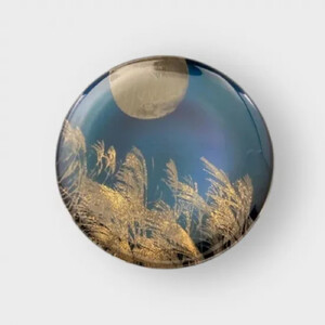 丸小皿 すすき シアンブルー [NF147]