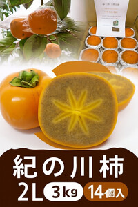 [2026年発送]黒の奇跡☆九度山の紀の川柿 2Lサイズ14個入 約3kg