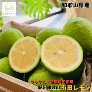 [先行予約][国産]紀州和歌山 有田レモン 2kg[MS67]