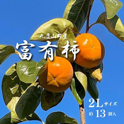 ［先行予約］富有柿（青秀以上 2Lサイズ 約13個入り）［2026年11月下旬より順次発送］