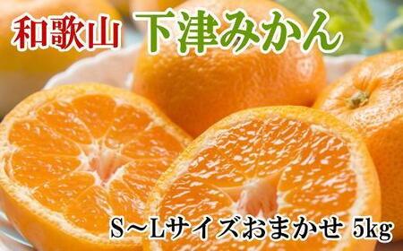 【産直・秀品】和歌山下津みかん約5kg（S～Lサイズおまかせ）★2024年11月中旬頃より順次発送【TM133】