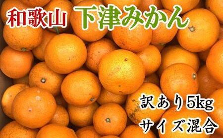 [訳あり]和歌山下津みかん約5kgご家庭用向け(サイズ混合) ★2025年11月中旬頃より順次発送[TM77]