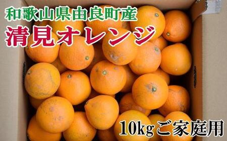 【訳あり・ご家庭用】和歌山由良町産の濃厚清見オレンジ約10kg★2025年2月中旬頃より順次発送【TM132】