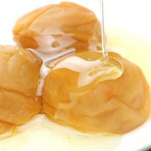 紀州南高梅 有田みかん蜂蜜梅 500g