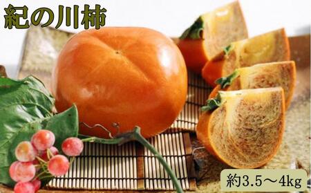 【希少】紀の川柿約3.5～4kg（種無し）秀選品★2026年11月頃より順次発送［TM12］
