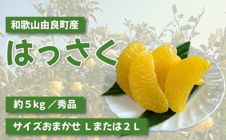 a̎RRǒY͂ 5kg Gi TCY܂ (k܂͂Qkꂩ͂) mSL3n