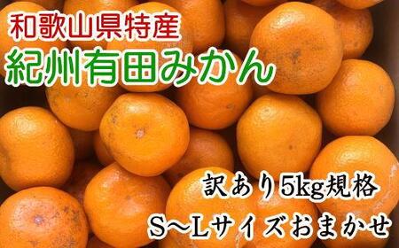 [󂠂]a̎RLc݂5kgiS`LTCYꂩ͂j2025N11{菇mTM81n