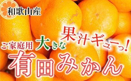 家庭用 大きな有田みかん1kg+250g(傷み補償分)[2025年11月中旬から2026年1月下旬頃順次発送予定]